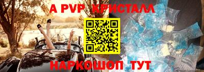 прущие грибы Можга