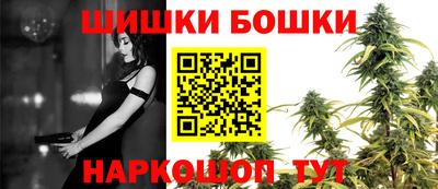 прущие грибы Можга
