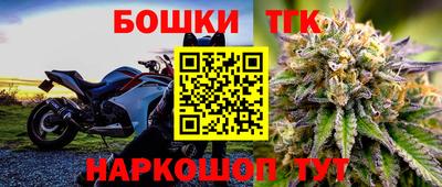 прущие грибы Можга