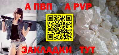 прущие грибы Можга