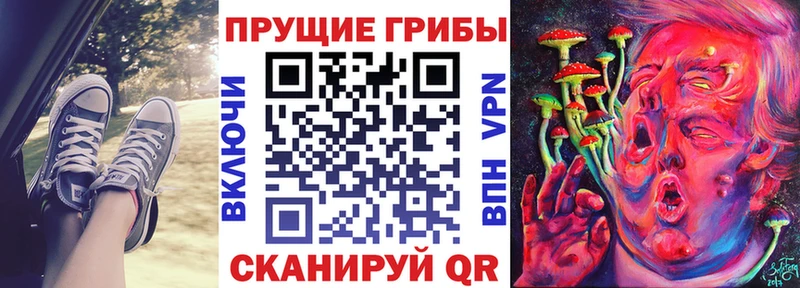 Галлюциногенные грибы MAGIC MUSHROOMS  цена   блэк спрут маркетплейс  Вязьма 