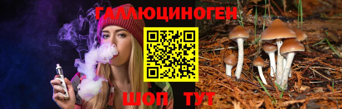 Псилоцибиновые грибы Psilocybine cubensis  Вход с VPN  наркошоп  Галлюциногенные грибы GOLDEN TEACHER  Вязьма 